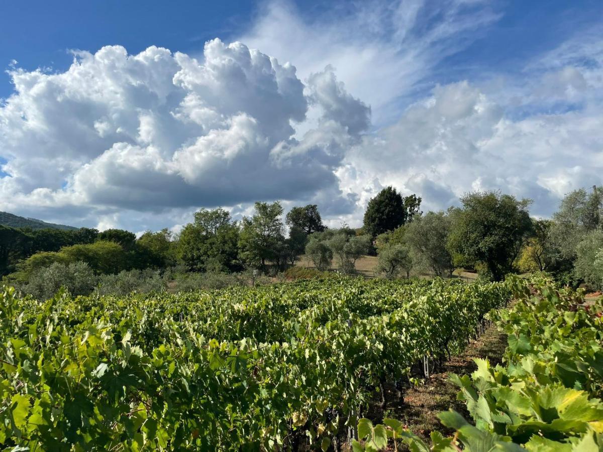All'Ombra Del Tiglio Pistoia Buitenkant foto